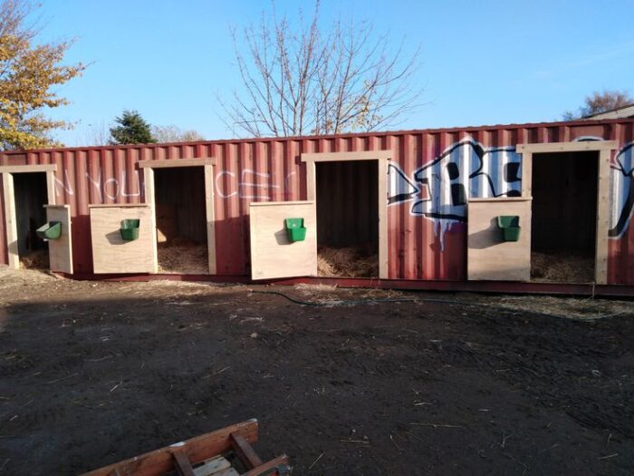 Container horse – Image 1